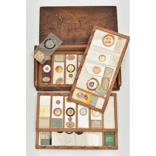 220A - A COLLECTION OF VICTORIAN AND EARLY 20TH CENTURY MICROSCOPE SLIDES IN A FITTED WOODEN BOX, the slide... 