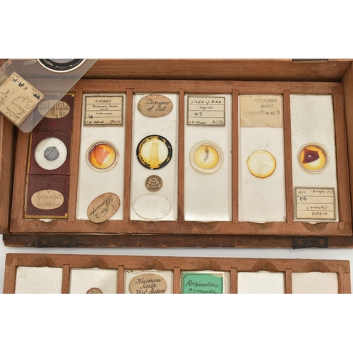 220A - A COLLECTION OF VICTORIAN AND EARLY 20TH CENTURY MICROSCOPE SLIDES IN A FITTED WOODEN BOX, the slide... 