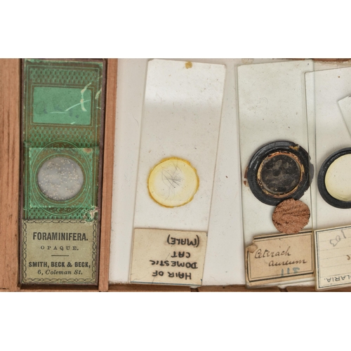 220A - A COLLECTION OF VICTORIAN AND EARLY 20TH CENTURY MICROSCOPE SLIDES IN A FITTED WOODEN BOX, the slide... 