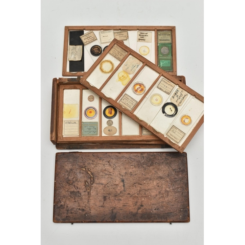 220A - A COLLECTION OF VICTORIAN AND EARLY 20TH CENTURY MICROSCOPE SLIDES IN A FITTED WOODEN BOX, the slide... 