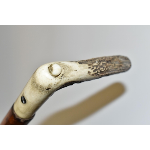 232 - AN ANTIQUE 7MM CENTREFIRE WALKING STICK SHOTGUN IN WORKING ORDER, its handle is made from a  deer's ... 