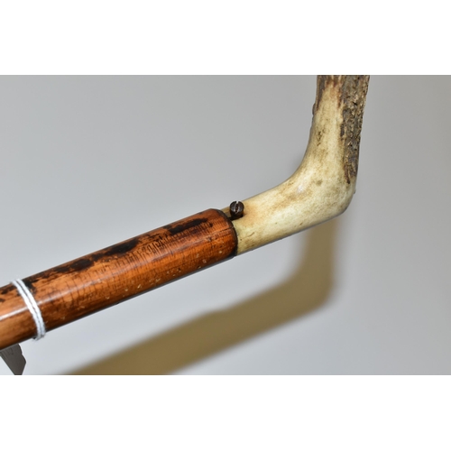 232 - AN ANTIQUE 7MM CENTREFIRE WALKING STICK SHOTGUN IN WORKING ORDER, its handle is made from a  deer's ... 