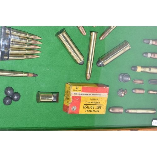 242 - A MODERN CARTRIDGE DISPLAY BOARD BEARING INERT MAINLY MILITARY RIFLE CARTRIDGES