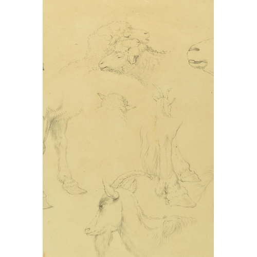 346 - CIRCLE OF ROBERT HILLS (1796-1844), ELEVEN STUDIES OF ANIMALS ON ONE SHEET, no visible signature, at... 