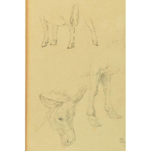 346 - CIRCLE OF ROBERT HILLS (1796-1844), ELEVEN STUDIES OF ANIMALS ON ONE SHEET, no visible signature, at... 