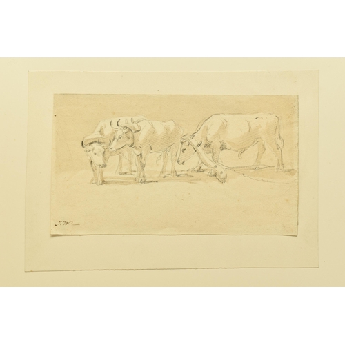 315 - JAMES WARD (1769-1859) DRAUGHT OXEN, a study of oxen wearing yokes, initialled bottom right, pencil ... 