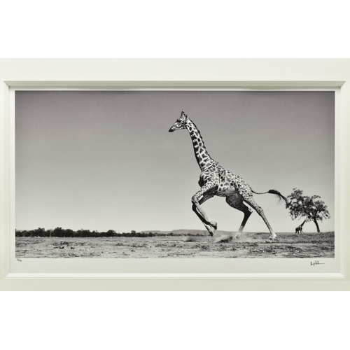 334 - ANUP SHAH (KENYAN CONTEMPORARY) 'DANCE', a signed limited edition photographic print depicting a gir... 