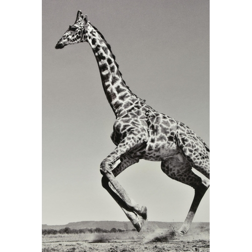 334 - ANUP SHAH (KENYAN CONTEMPORARY) 'DANCE', a signed limited edition photographic print depicting a gir... 