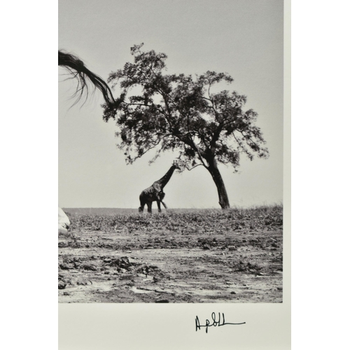 334 - ANUP SHAH (KENYAN CONTEMPORARY) 'DANCE', a signed limited edition photographic print depicting a gir... 