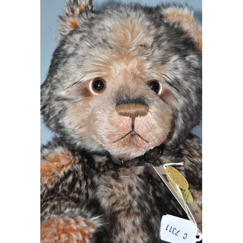 360 - A CHARLIE BEARS LIMITED EDITION 'HUBBLE' TEDDY BEAR, with swing tag numbered 729/3000, code CB614862... 