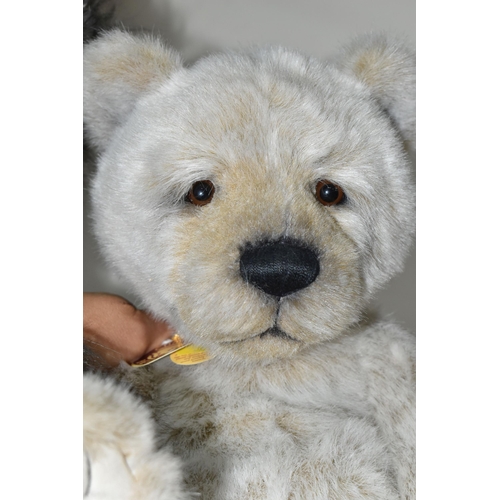 362 - TWO CHARLIE BEARS, CB124950 Lancelot with bell collar and cardboard label, height 56cm and CB 194571... 