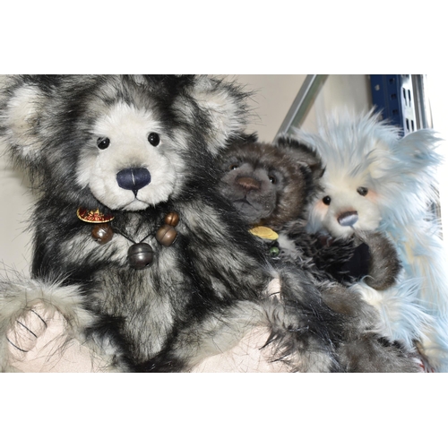 377 - THREE CHARLIE BEARS, designed by Isabelle Lee, CB404830 Oakley, CB614892 Lorna, CB125000 celeste, al... 