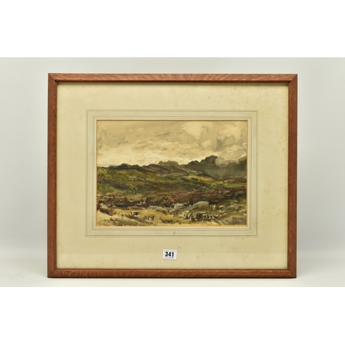 341 - THOMAS COLLIER (1840-1891) 'PENCRAIG', a Ross On Wye landscape, signed bottom left, watercolour on p... 