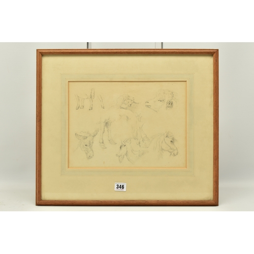 346 - CIRCLE OF ROBERT HILLS (1796-1844), ELEVEN STUDIES OF ANIMALS ON ONE SHEET, no visible signature, at... 