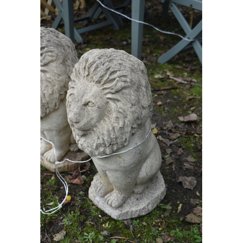 1023 - A PAIR OF WEATHERED COMPOSITE GARDEN LIONS, height 50cm (condition report: good) (2)