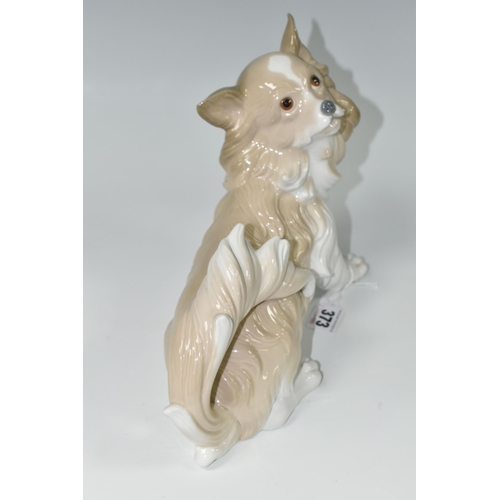 373 - A LLADRO 'PAPILLON' DOG FIGURINE, 4857 by Alfredo Ruiz, issued 1974-1979, height 20cmx length 28cm (... 