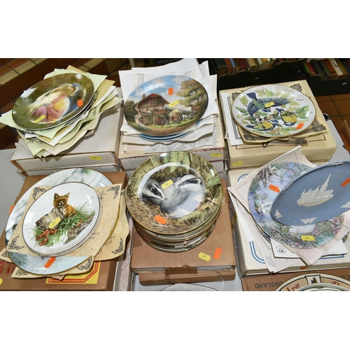 645 - A QUANTITY OF COLLECTORS PLATES, SOME WITH BOXES, to include twelve 'The Forest year' plates by John... 