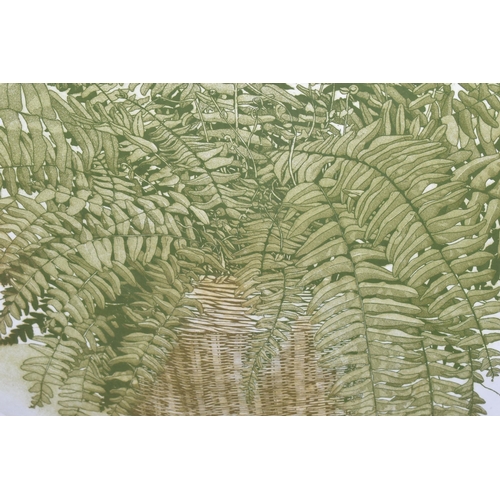 673 - ARNOLD IGER (AMERICA 1949) TWO BOTANICAL ETCHINGS WITH COLOURS, comprising 'Boston Fern' signed, num... 