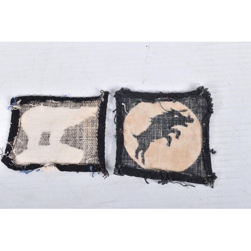 430 - A SELECTION OF WWII CLOTH INSIGNIA COLLECTED BY V.A.D NURSE JESS WINIFRED CAREY, in France and the U... 