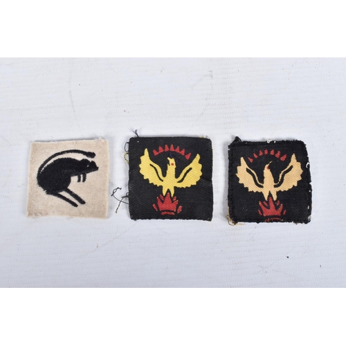 430 - A SELECTION OF WWII CLOTH INSIGNIA COLLECTED BY V.A.D NURSE JESS WINIFRED CAREY, in France and the U... 