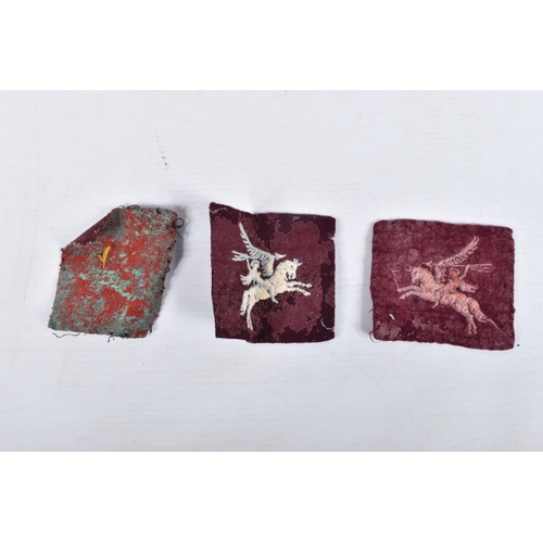 431 - A COLLECTION OF WWII AIRBORNE INSIGNIA COLLECTED BY V.A.D NURSE JESS WINIFRED CAREY IN FRANCE AND TH... 