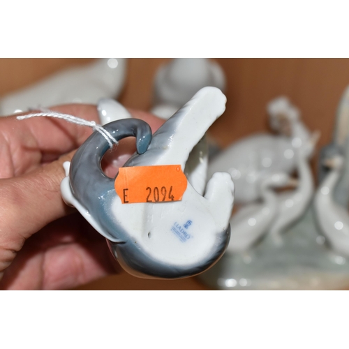 307 - A LLADRO CAT FIGURE AND EIGHT NAO DUCK FIGURES, to include Lladro Cat and Mouse, model no 5236, scul... 