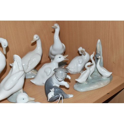 307 - A LLADRO CAT FIGURE AND EIGHT NAO DUCK FIGURES, to include Lladro Cat and Mouse, model no 5236, scul... 