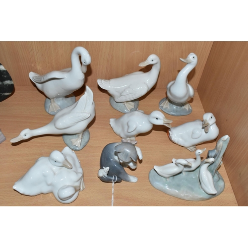 307 - A LLADRO CAT FIGURE AND EIGHT NAO DUCK FIGURES, to include Lladro Cat and Mouse, model no 5236, scul... 