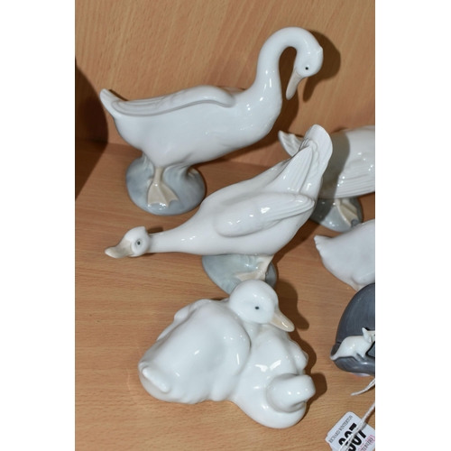 307 - A LLADRO CAT FIGURE AND EIGHT NAO DUCK FIGURES, to include Lladro Cat and Mouse, model no 5236, scul... 