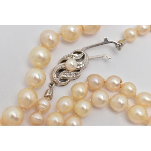 34 - A SINGLE STRAND OF CULTURED PEARLS, individually knotted, graduated pearls, measuring approximately ... 