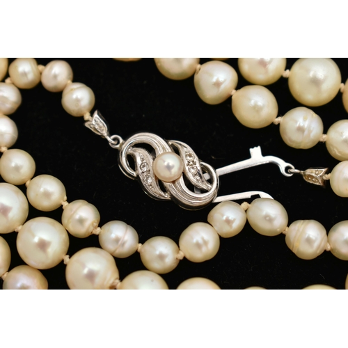 34 - A SINGLE STRAND OF CULTURED PEARLS, individually knotted, graduated pearls, measuring approximately ... 