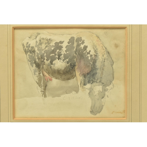 323 - CIRCLE OF ROBERT HILLS (1769-1844) GRAZING COW, a study of a cow, no visible signature, pencil and w... 