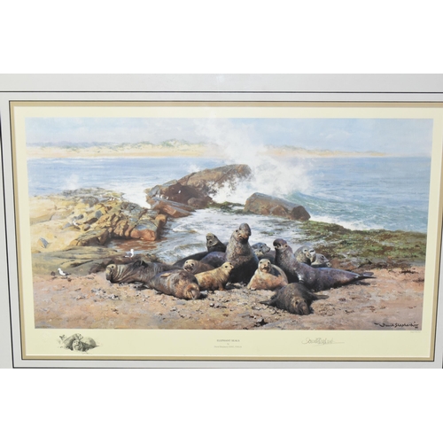 441 - DAVID SHEPHERD (1931-2017) 'ELEPHANT SEALS', depicting a colony on the shoreline, signed to lower ma... 