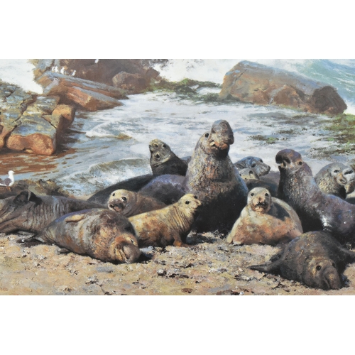 441 - DAVID SHEPHERD (1931-2017) 'ELEPHANT SEALS', depicting a colony on the shoreline, signed to lower ma... 