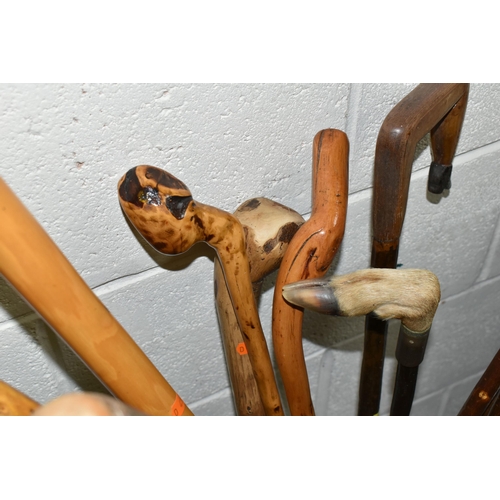 456 - A COLLECTION OF WALKING STICKS, a metal stick stand containing ten assorted walking sticks and a bac... 