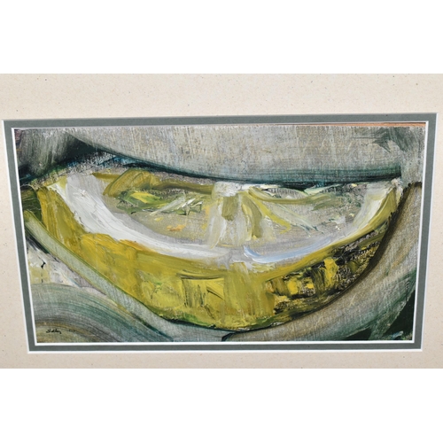 528 - TIMOTHY SHELLEY (20TH CENTURY) LEMON SLICE, an abstract study of a slice of lemon, signed and dated ... 