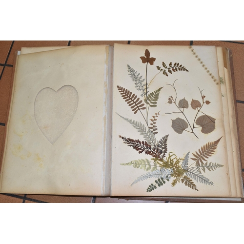 530 - AN EARLY 20TH CENTURY ALBUM OF PRESSED FERNS FROM JAMAICA, comprising twenty-two pages of examples, ... 