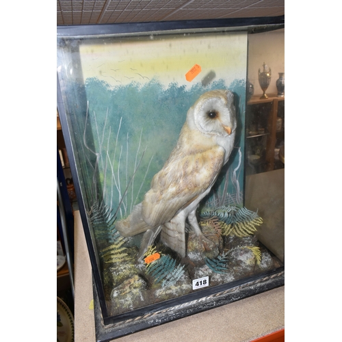 418 - AN EARLY TWENTIETH CENTURY TAXIDERMY BARN OWL, cased in a naturalistic setting with ferns, rocks and... 