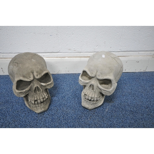 1260 - A PAIR OF MODERN COMPOSITE SCULPTURES OF SKULLS , width 23cm x depth 30cm x height 26cm (condition r... 