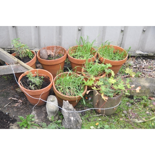 1005 - A COLLECTION OF EIGHT TERRACOTTA AND OTHER PLANT POTS, two small animal figures and a wooden bird fe... 