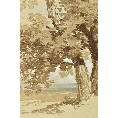 303 - TWO UNSIGNED 19TH CENTURY STUDIES OF TREES, the first with an attribution to James Stark 1794-1859 d... 