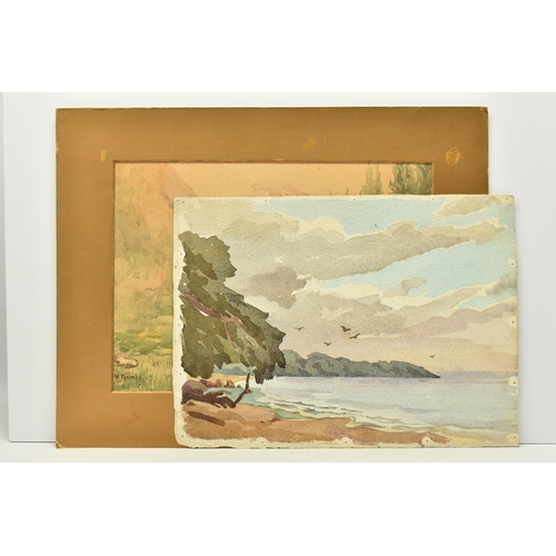 308 - TWO EARLY 20TH CENTURY WATERCOLOUR LANDSCAPES, the first depict a field with trees, signed W. Trewby... 