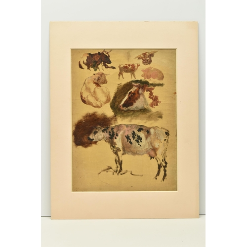 310 - CIRCLE OF ROBERT HILLS (1769-1844) STUDIES OF ANIMALS, six studies of cattle and a pig, oil on canva... 