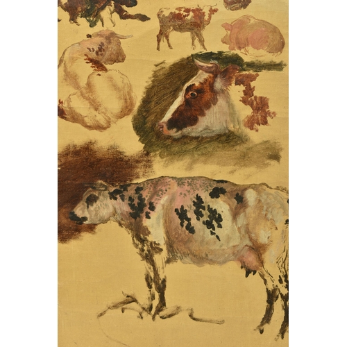 310 - CIRCLE OF ROBERT HILLS (1769-1844) STUDIES OF ANIMALS, six studies of cattle and a pig, oil on canva... 