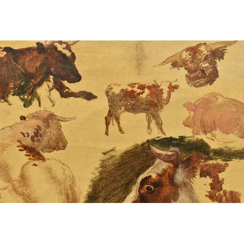 310 - CIRCLE OF ROBERT HILLS (1769-1844) STUDIES OF ANIMALS, six studies of cattle and a pig, oil on canva... 