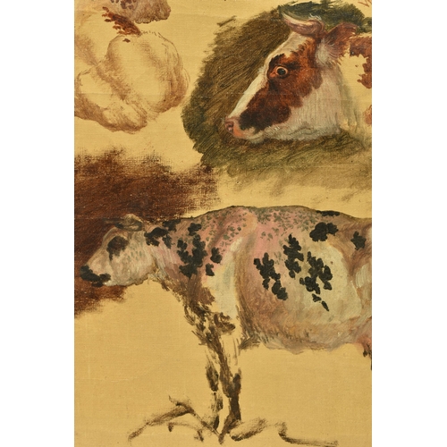 310 - CIRCLE OF ROBERT HILLS (1769-1844) STUDIES OF ANIMALS, six studies of cattle and a pig, oil on canva... 