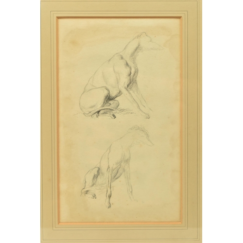 311 - CIRCLE OF ROBERT HILLS (1769-1844) TWO STUDIES OF A GREYHOUND DOG, pencil on paper, approximate size... 