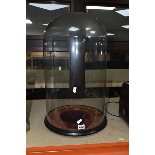 423 - A LARGE LATE NINETEENTH CENTURY GLASS DOME, on an ebonised wooden base, lined with burgundy fabric, ... 