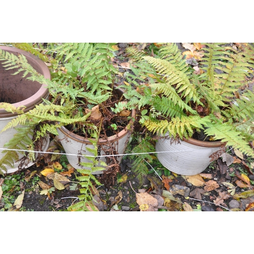 1015 - SIX VARIOUS GLAZED STONEWARE GARDEN PLANT POTS, some reading Heritage garden pottery etc 1989, diame... 