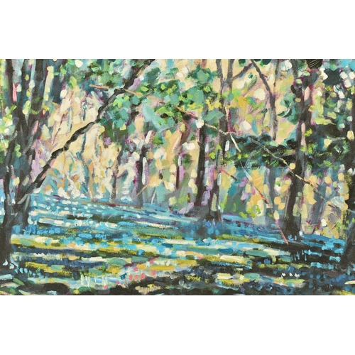 319 - TIMMY MALLETT (BRITISH CONTEMPORARY) 'Bluebell Shadows', limited edition box canvas print of a woodl... 